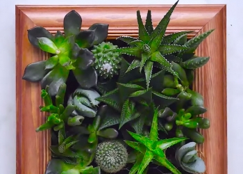 28 ideias perfeitas para o seu pequeno jardim