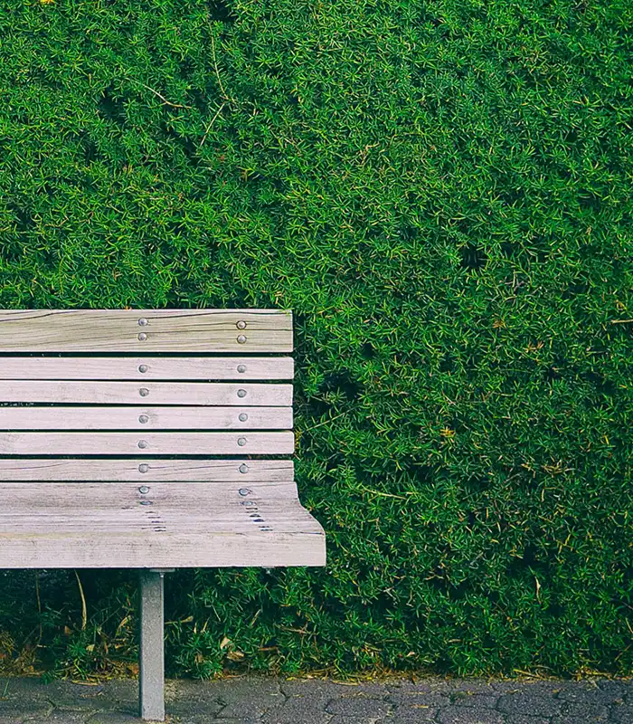Poda e Topiaria de Arbustos e
